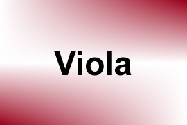 Viola name image