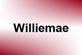 Williemae name image