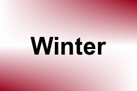 Winter name image