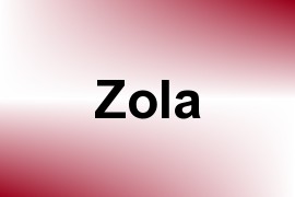 Zola name image